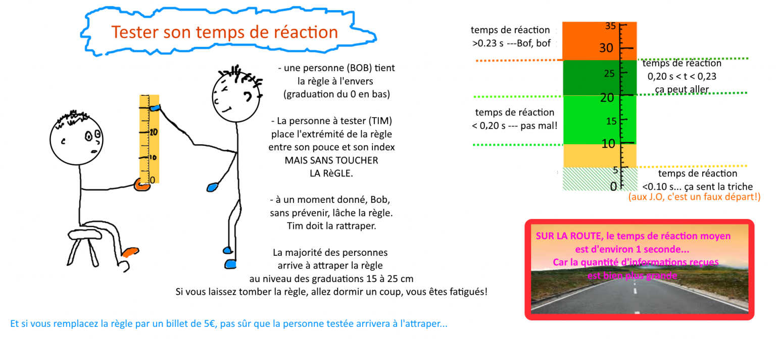 De Quoi Depend La Distance De Freinage semaine 6 – distance de freinage et sécurité routière – sciences