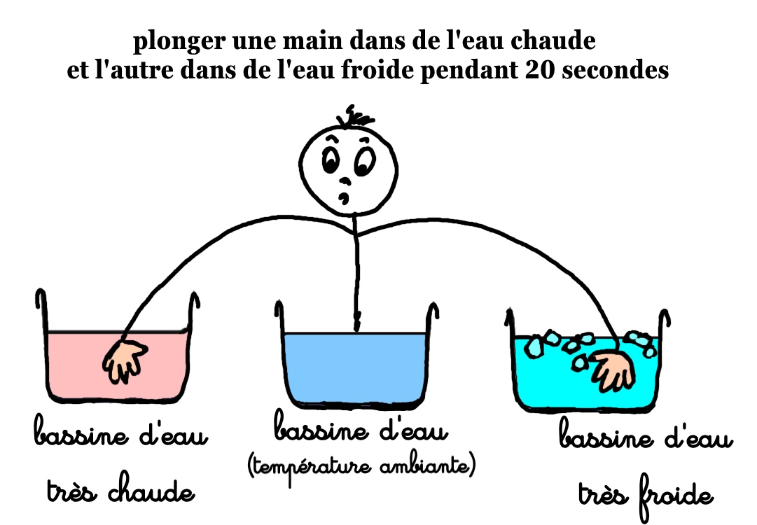 Peuton faire confiance en nos sens ? sciences physiques chimie
